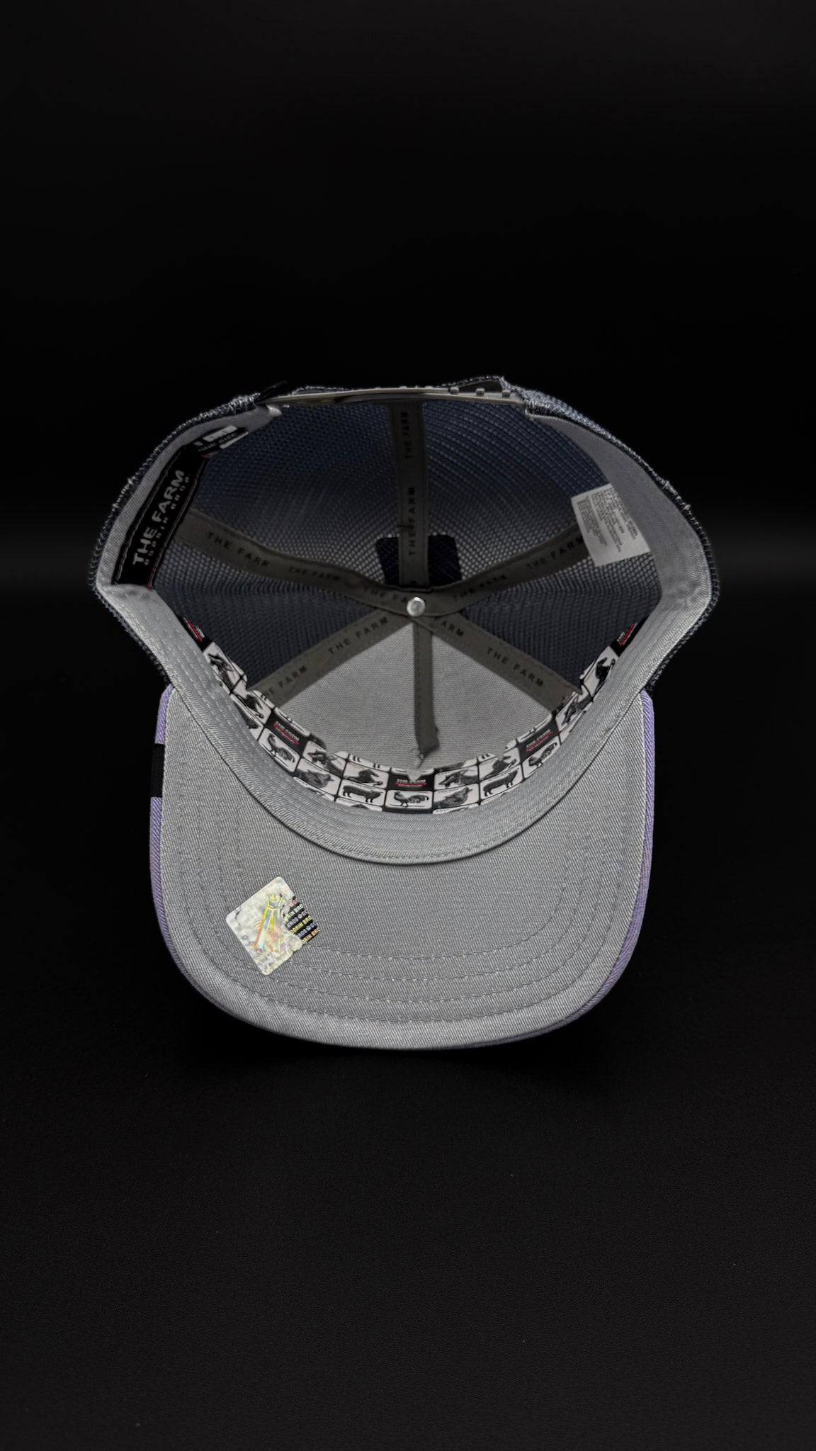 Gorra Goorin Bros Tortuga