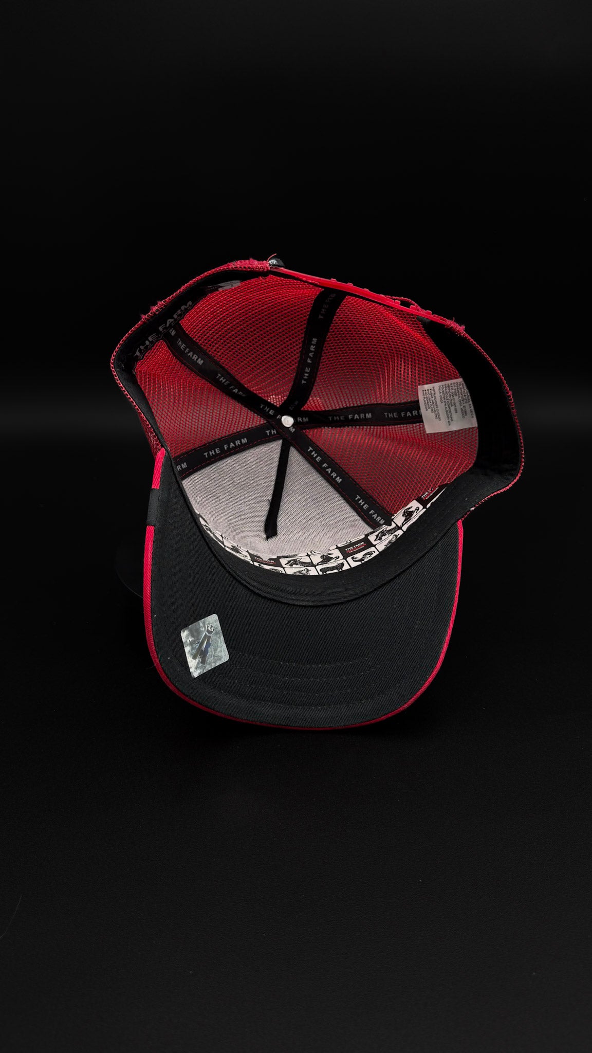 Gorra Goorin Bros Dragon