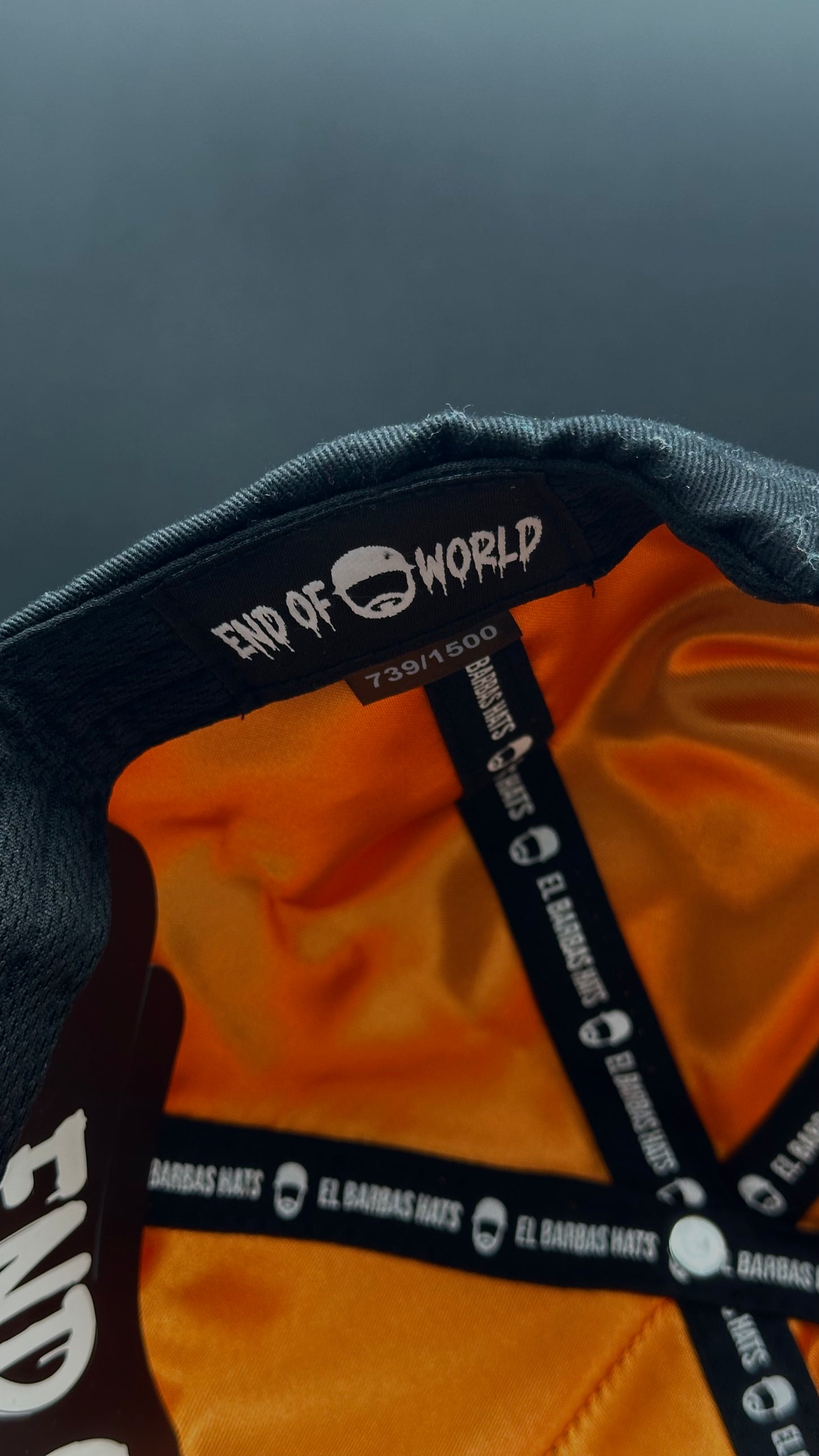 Gorra Barbas Hats End Of World (739/1500)