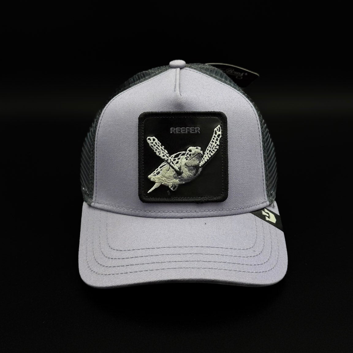 Gorra Goorin Bros Tortuga