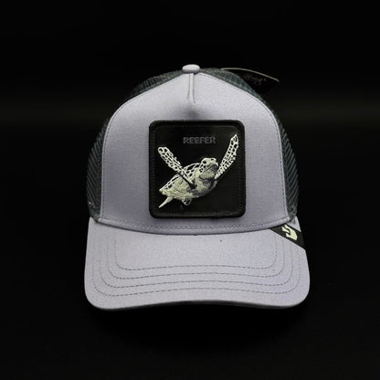 Gorra Goorin Bros Tortuga