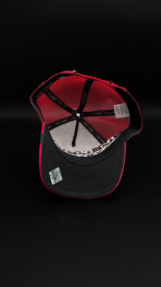 Gorra Goorin Bros Dragon
