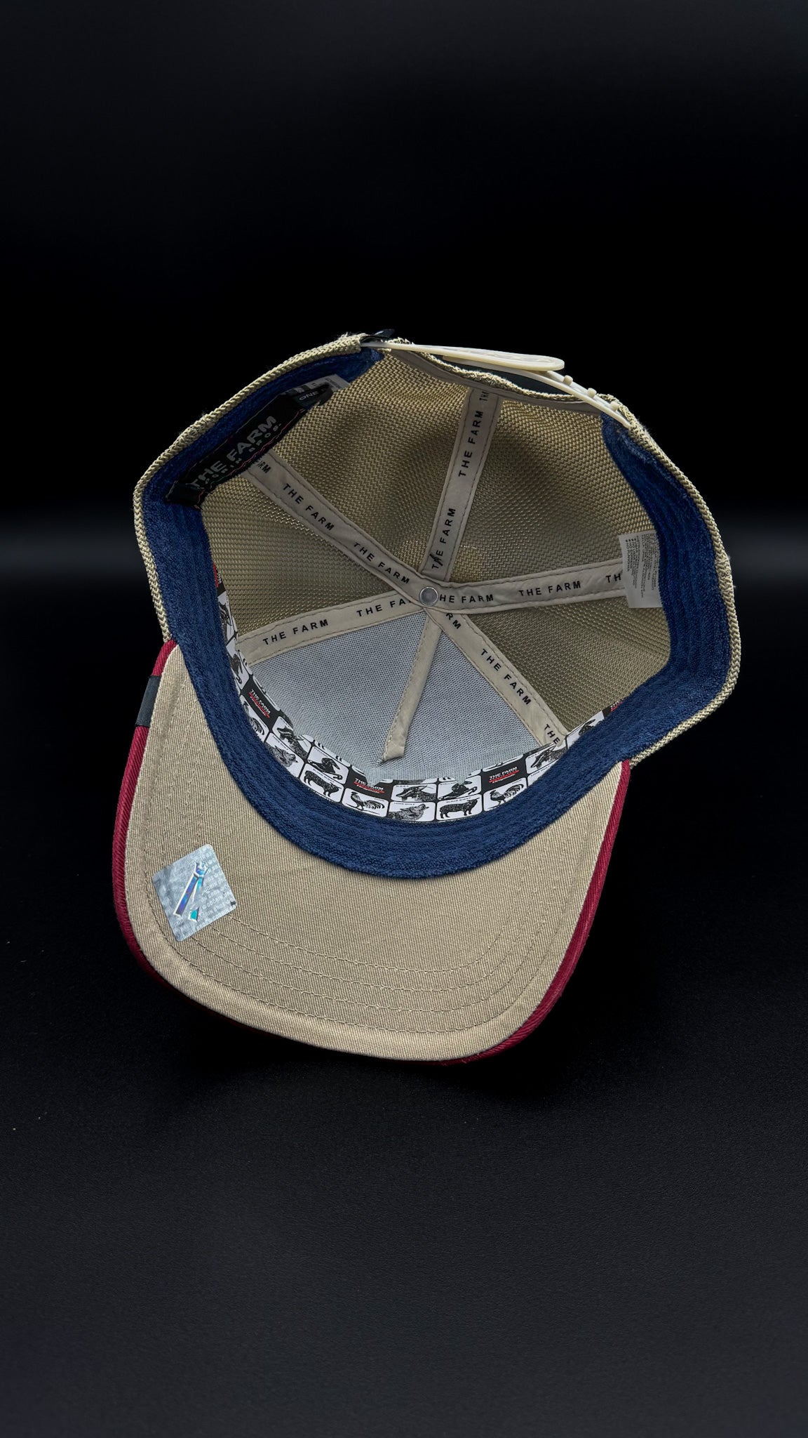 Gorra Goorin Bros Gallo