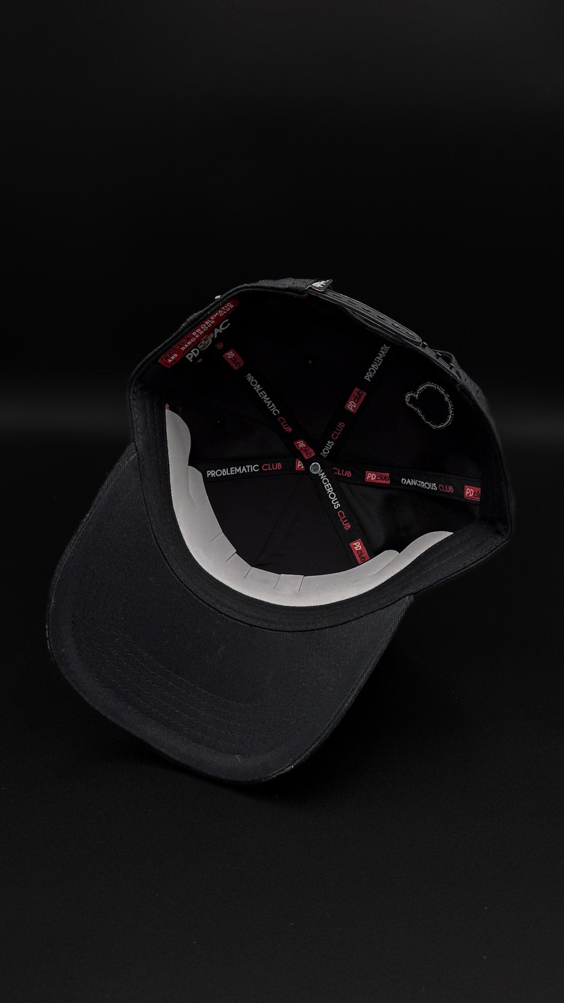 Gorra Problematic And Dangerous Bear